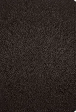 ESV Large Print Compact Bible, Red Letter