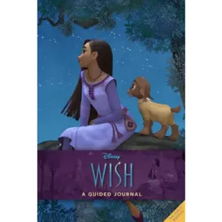 Disney Wish: A Guided Wishing Journal