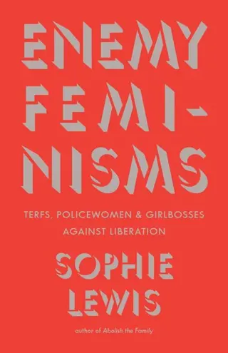 Enemy Feminisms