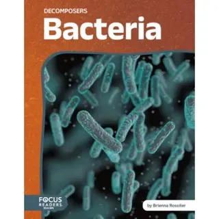 Bacteria