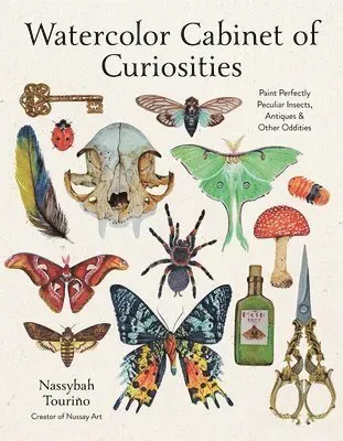 Watercolor Cabinet of Curiosities