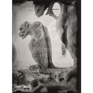 Tomas Van Houtryve: 36 Views of Notre Dame