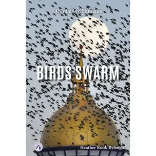 Birds Swarm